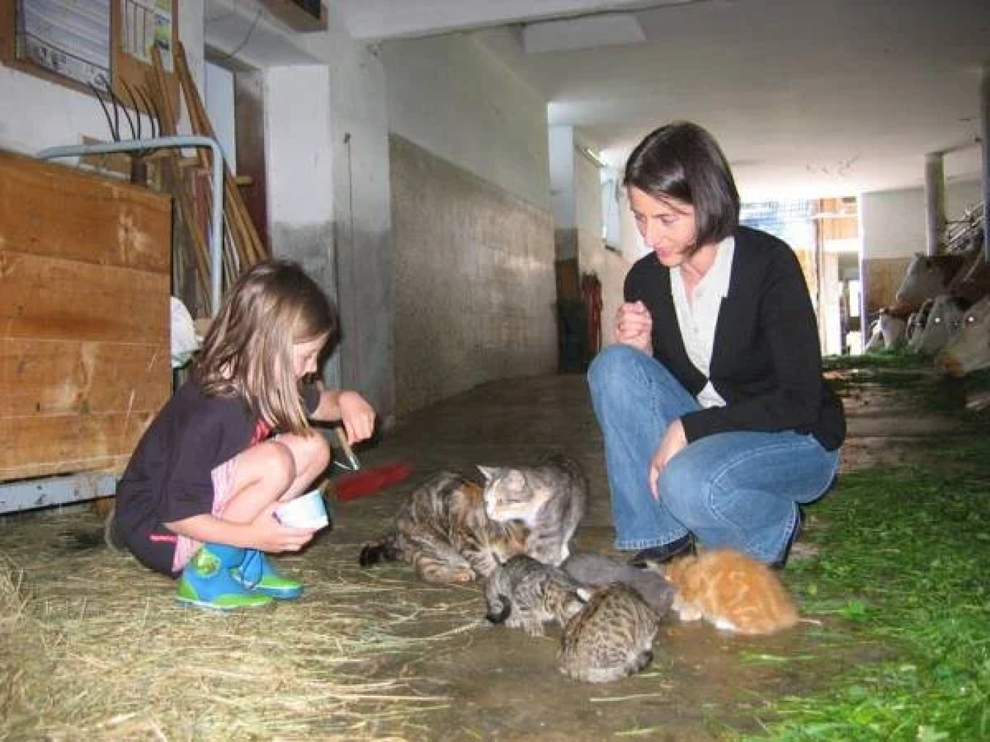 Baby-/Kinderhof Aicherbauer