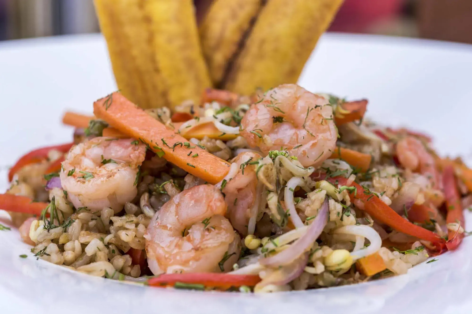 Hotel Black Tower Premium