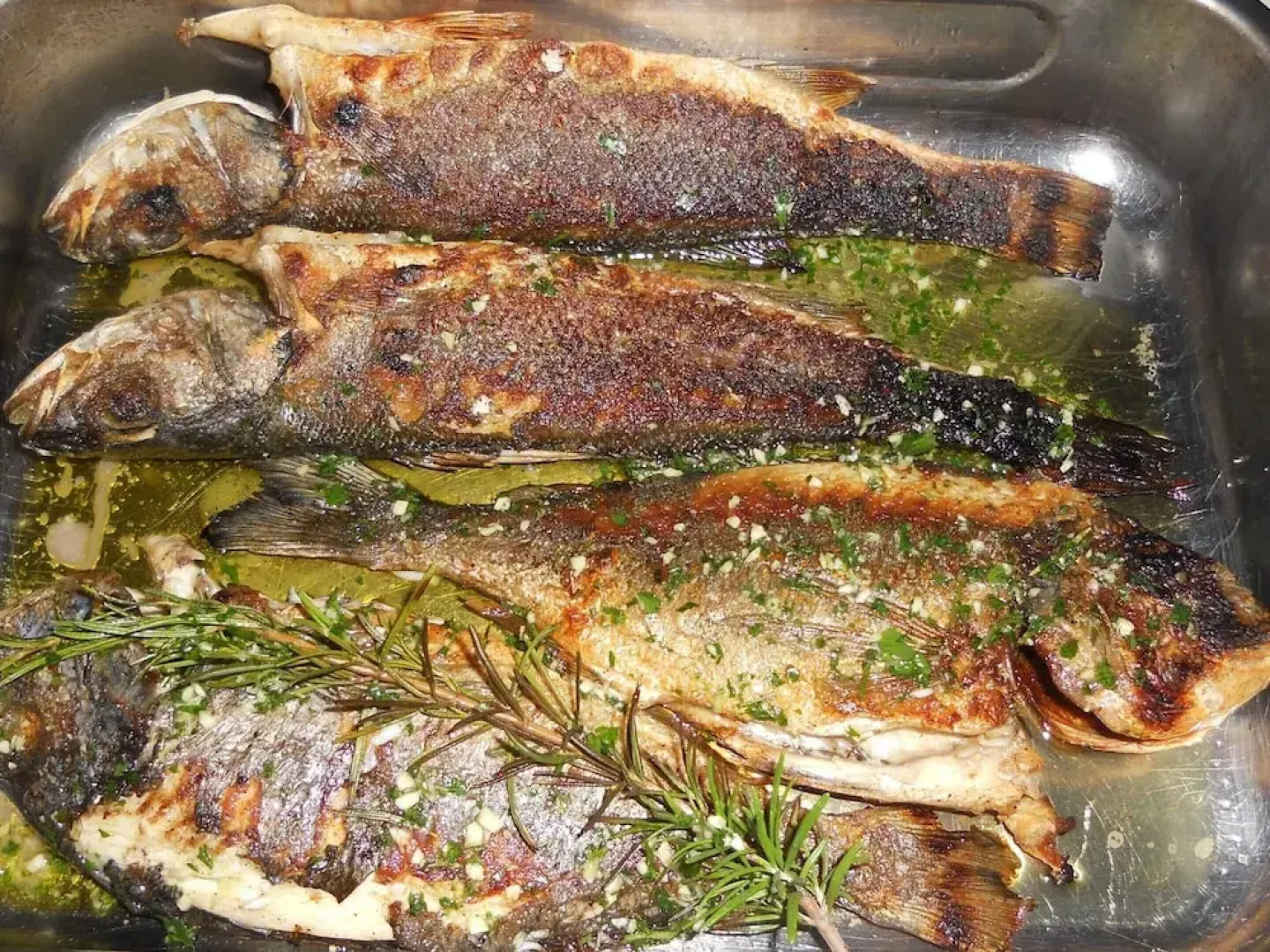 Spacious Apartment With Terrace & Outdoor Kitchen Surrounded by a Garden