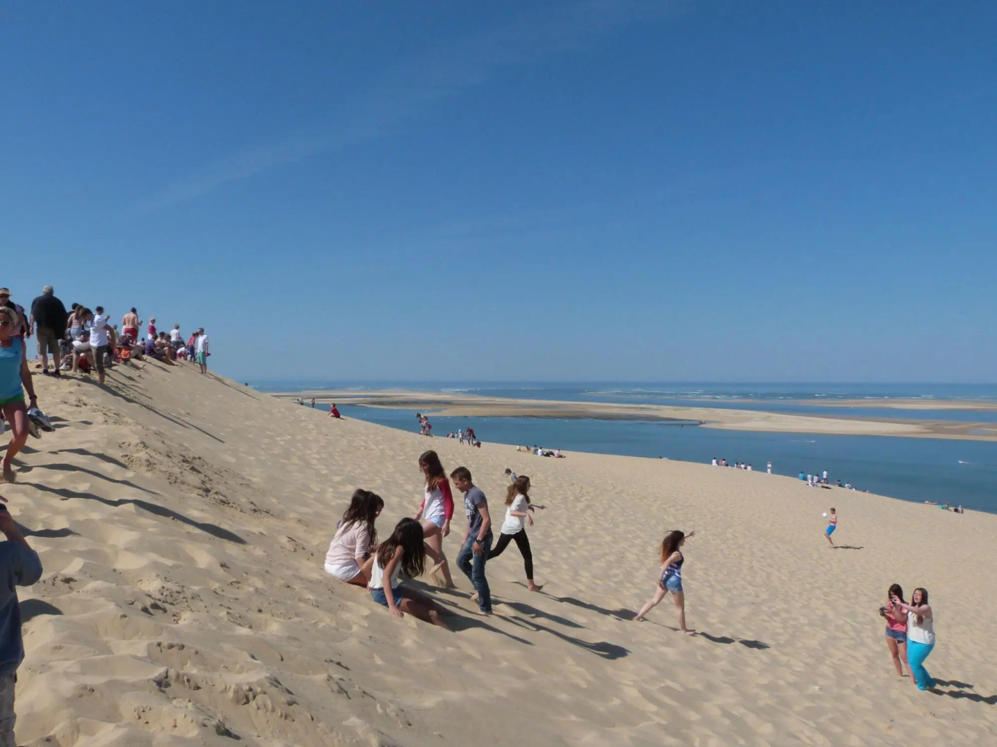 Luxurious detached villa in a nature reserve with a castle