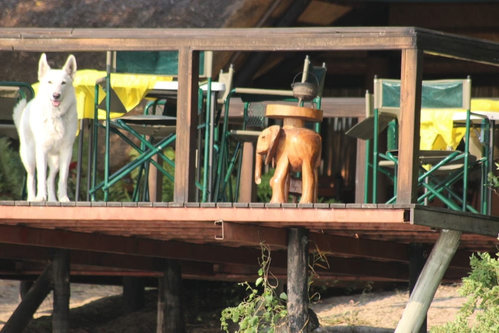 Ndhovu Safari Lodge - Campground