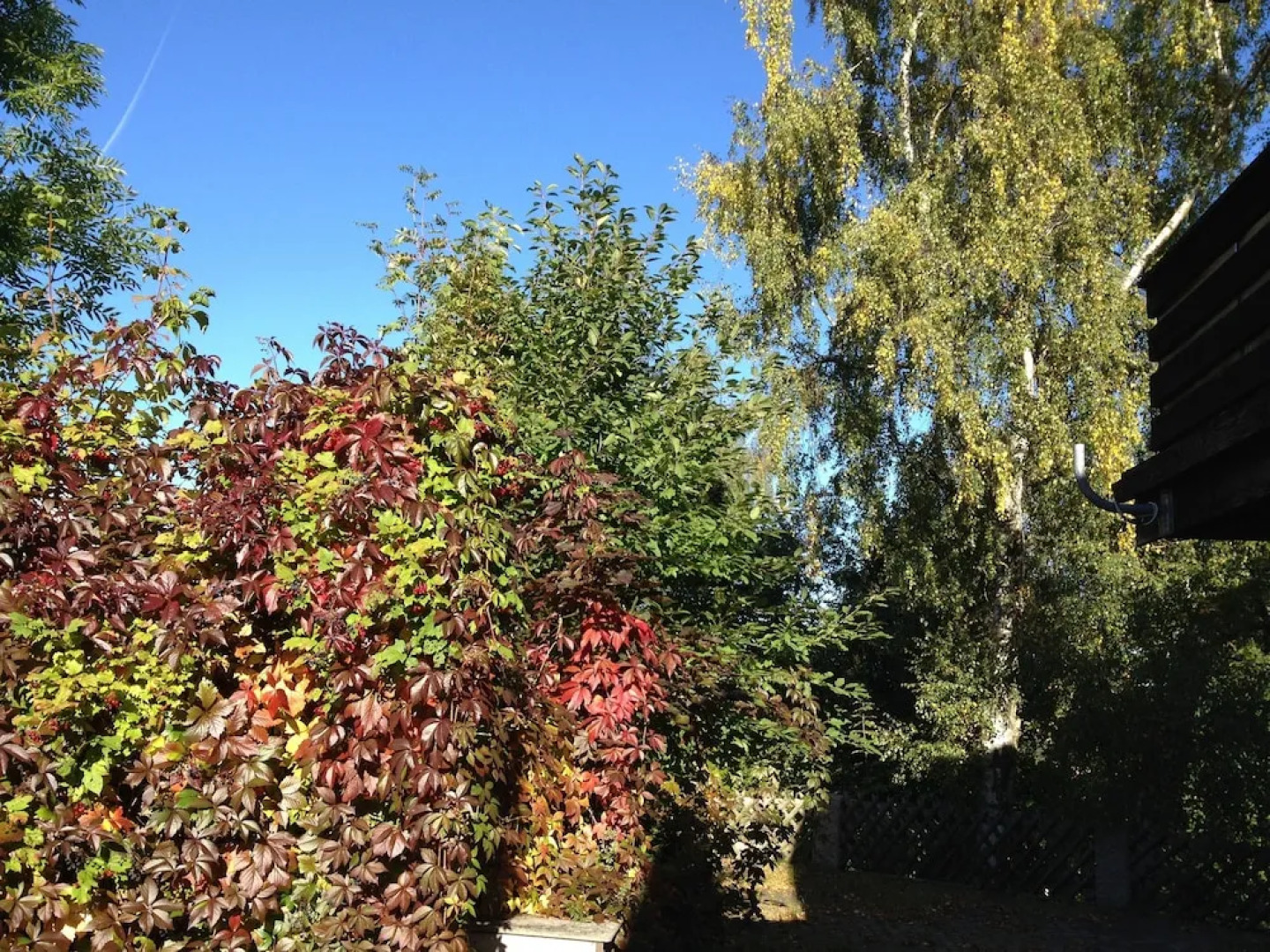 Schmankerl Hotel Bauer