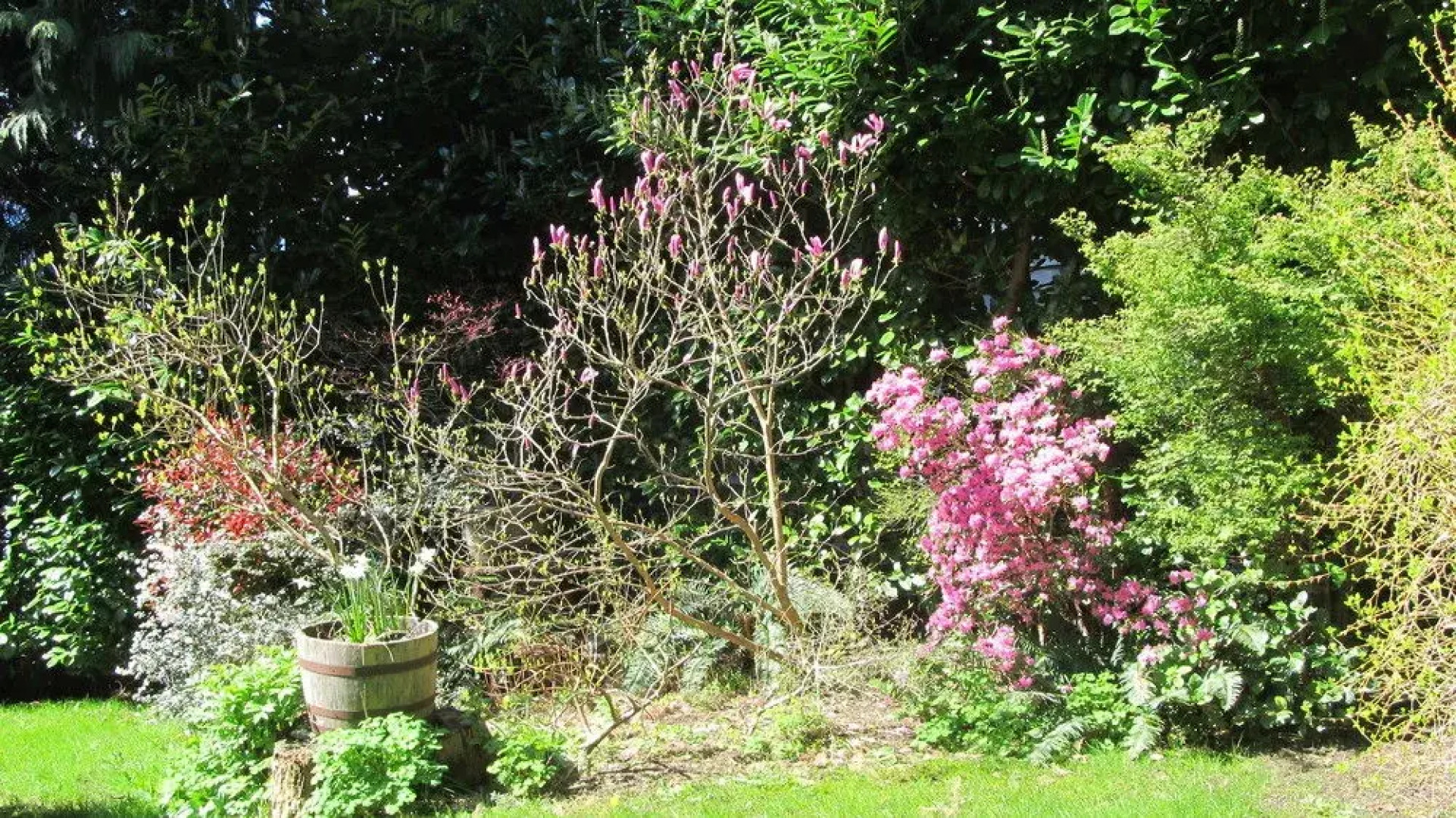 Stillwater Beach House Bed & Breakfast