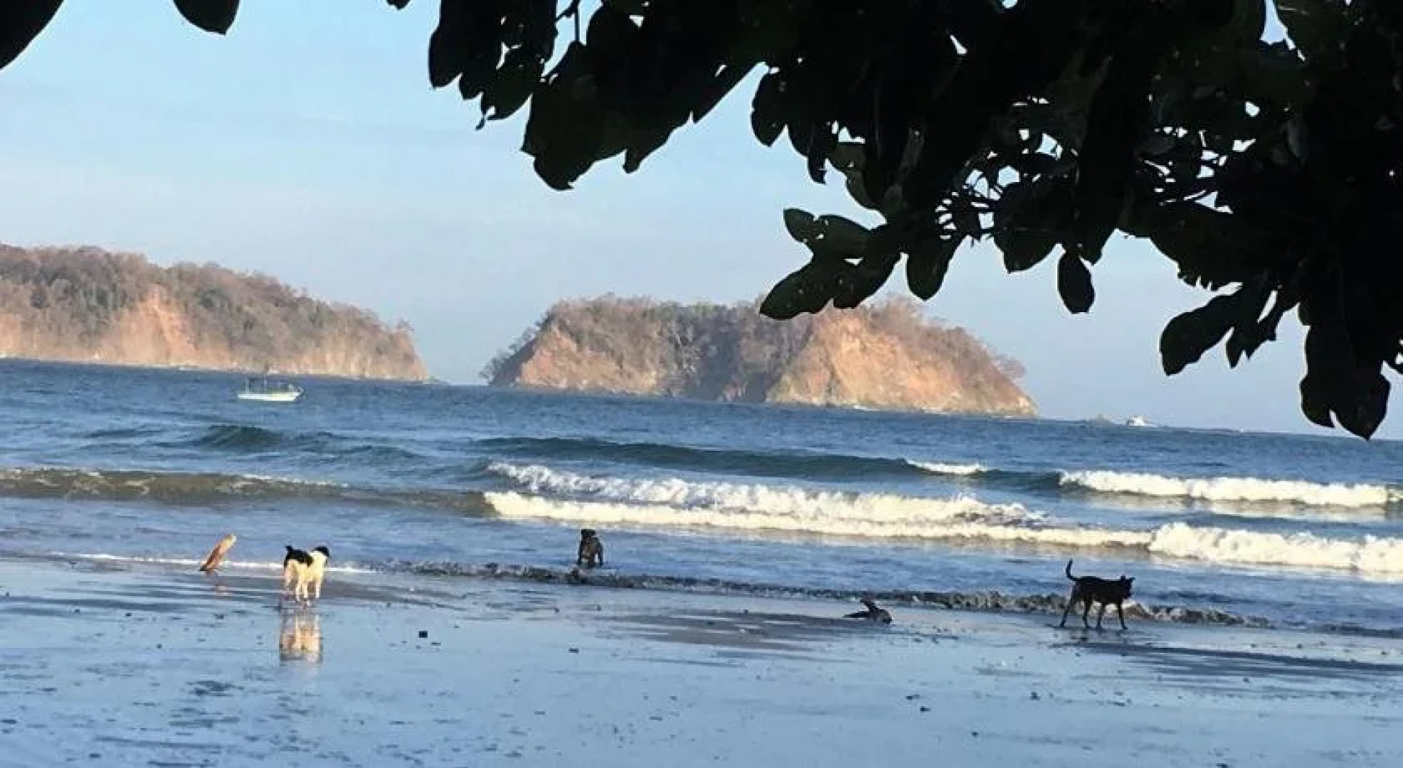 Las Perlitas Boutique Hotel