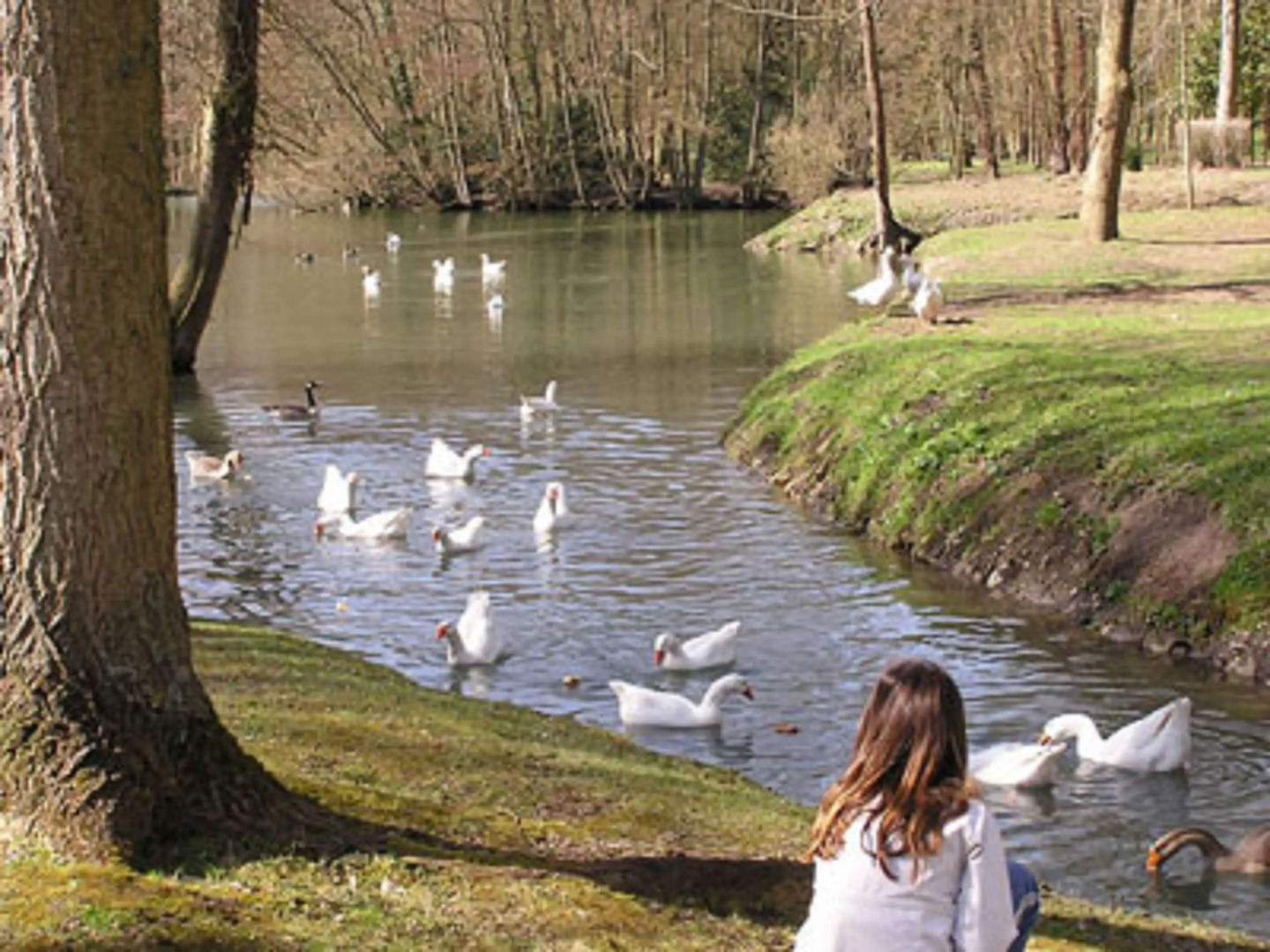 Kyriad Crepy en Valois