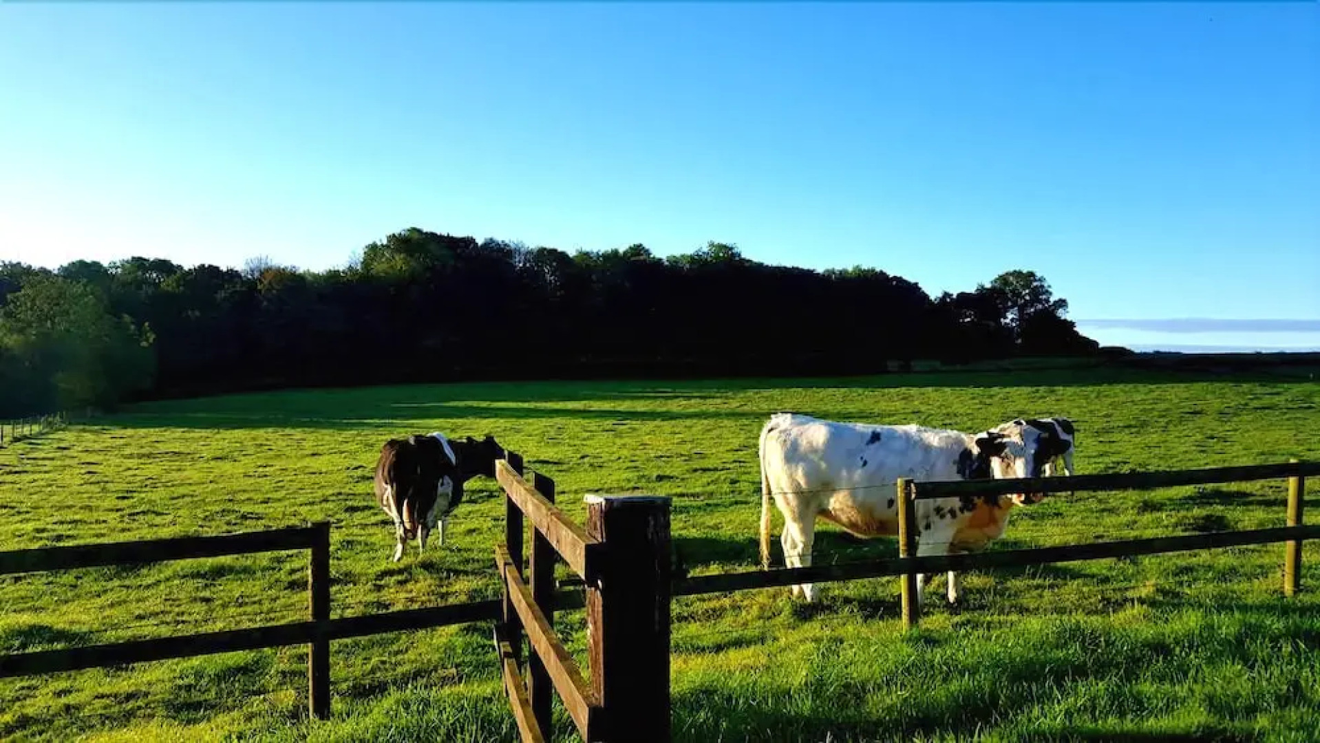 The Old Stables Bed & Breakfast