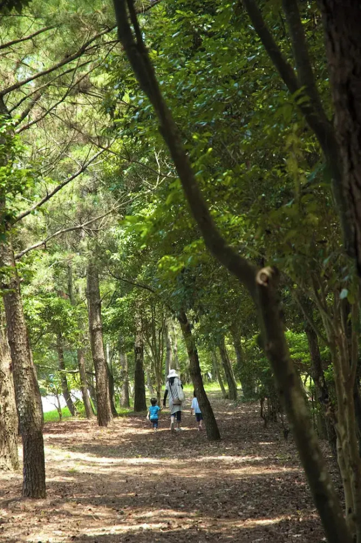 Seagaia Forest Condominiums
