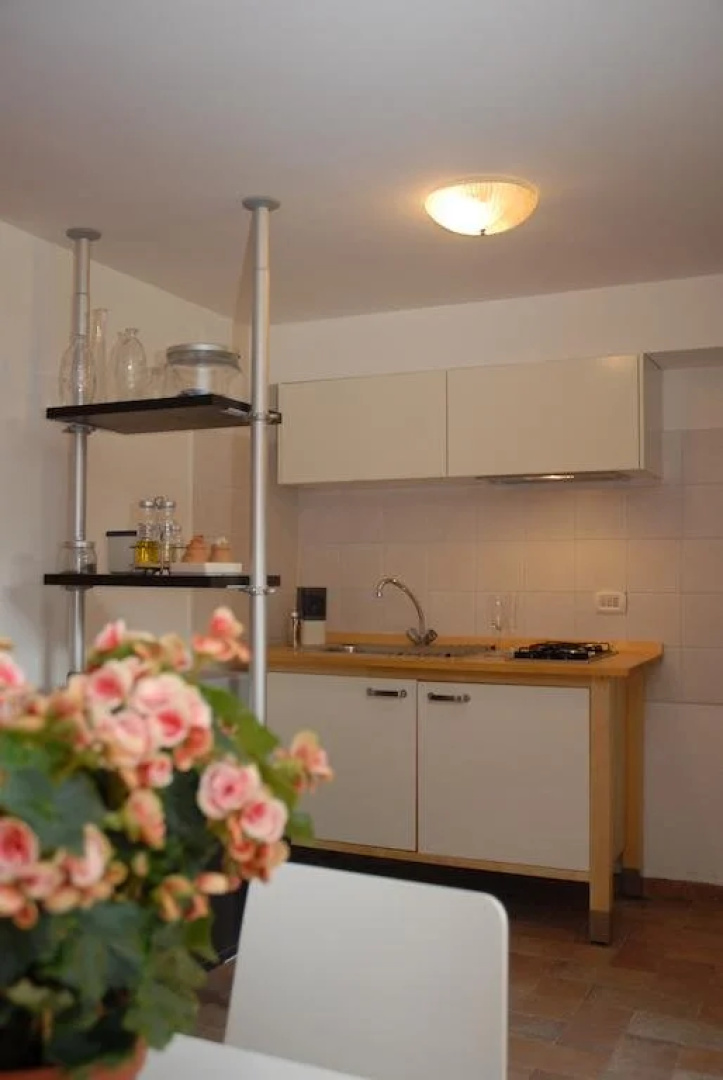 B&B Belvedere