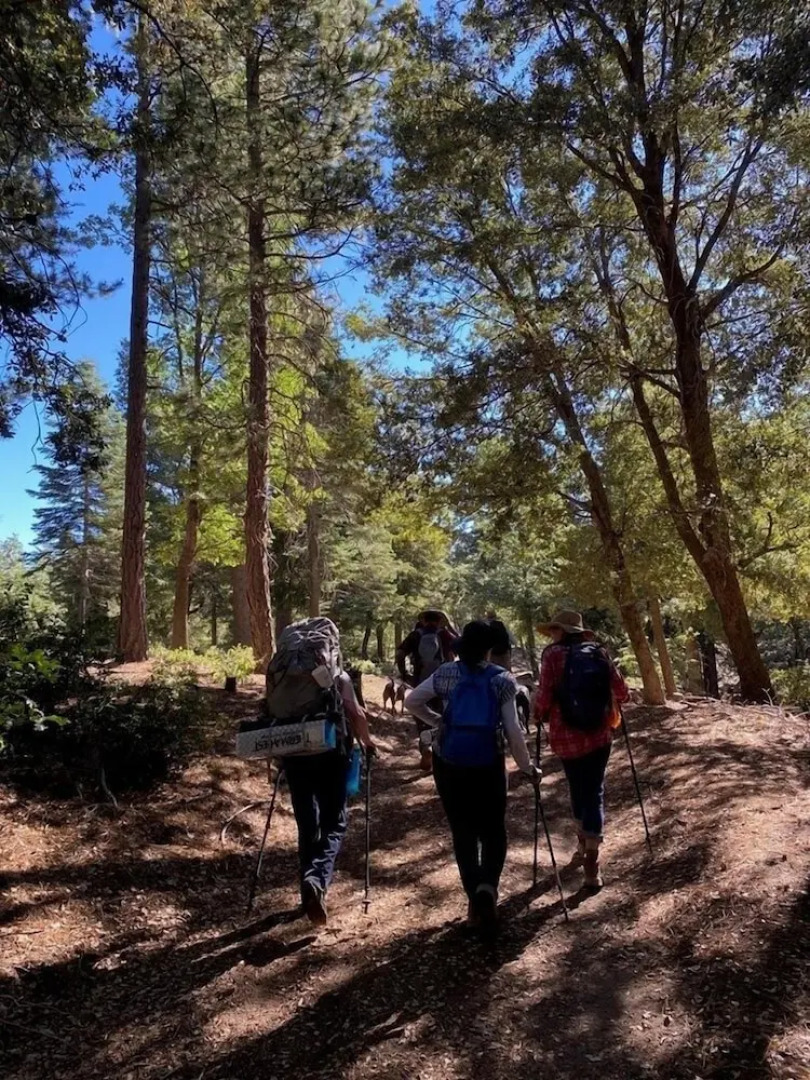 Woodsy 'a' Frame 3 Bedroom Cabin by RedAwning