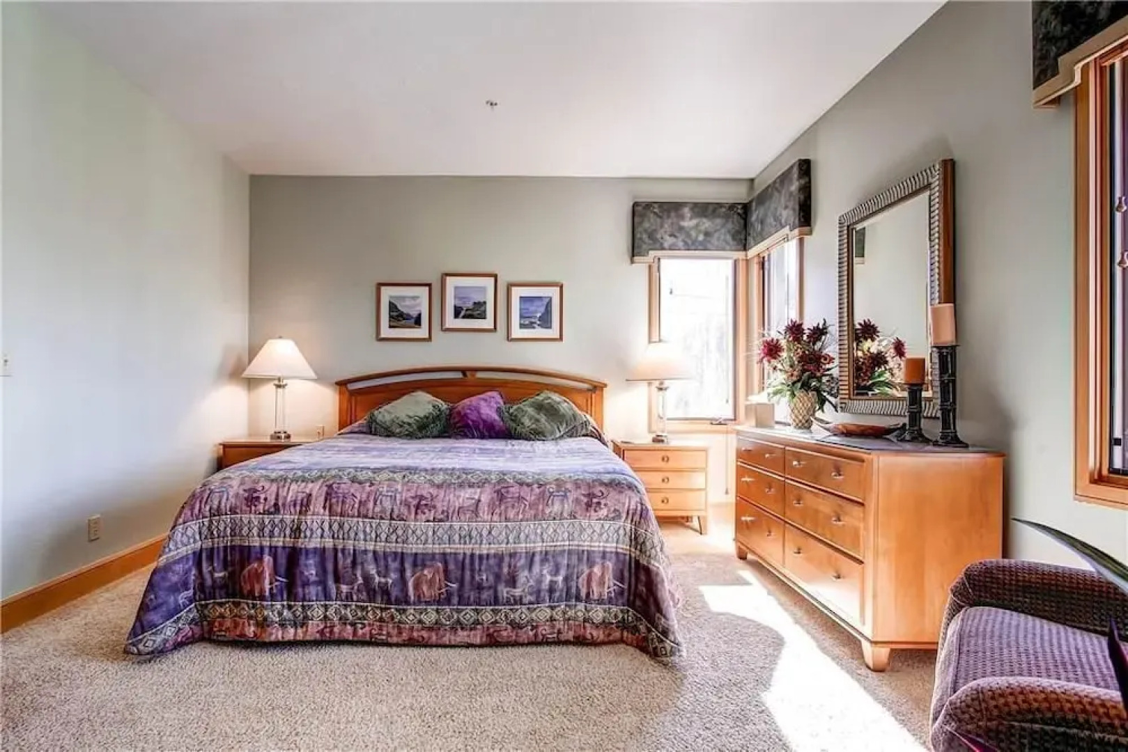 Telluride Alpine Lodge Portfolio