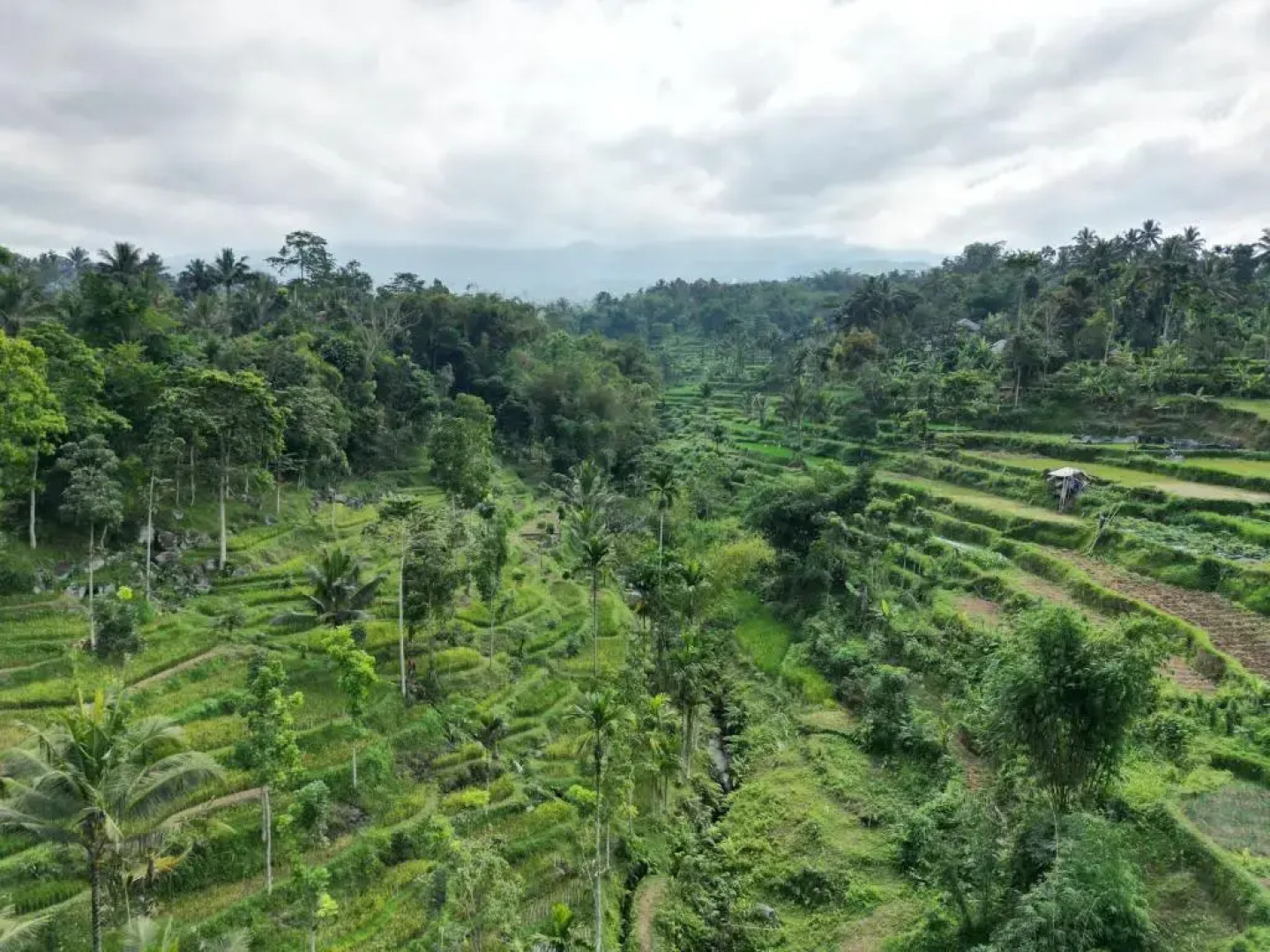Tetebatu Garden Resort