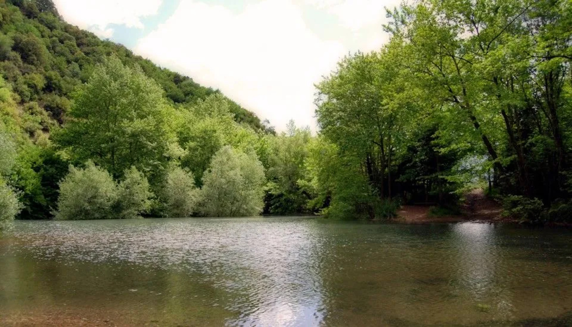 Anerada inn Luxury Suites & Villa - Pet Friendly