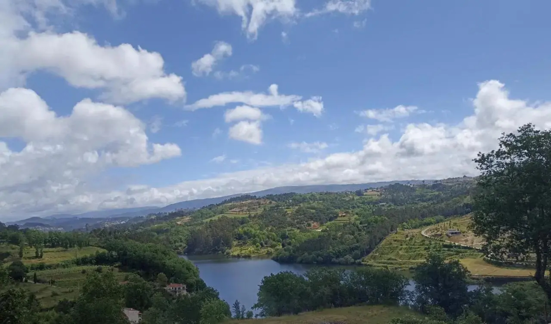 TAMACA nature