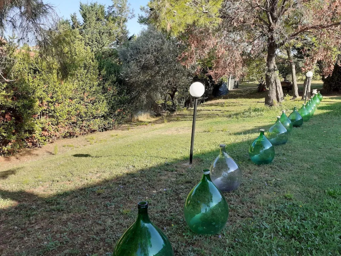 Pier delle Vigne B&B