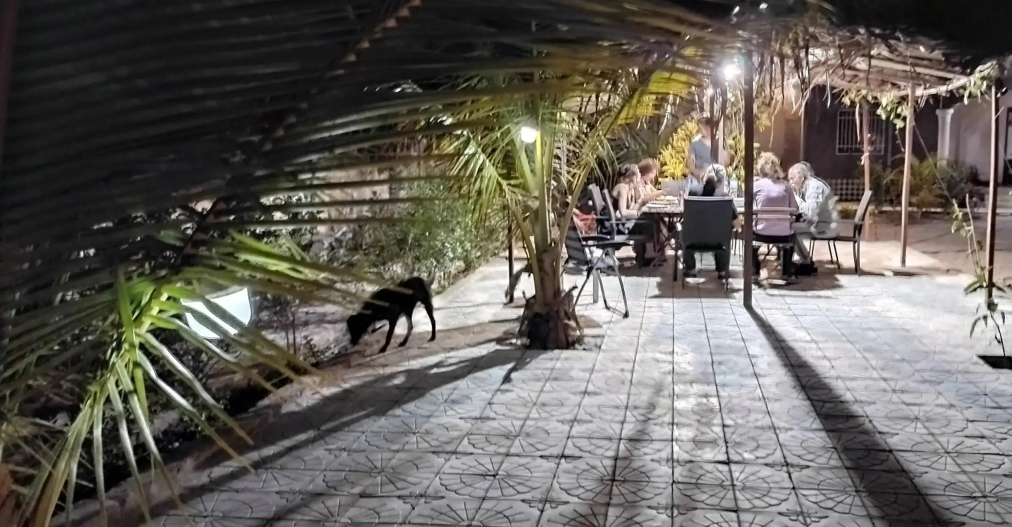 Real Owl Guest House
