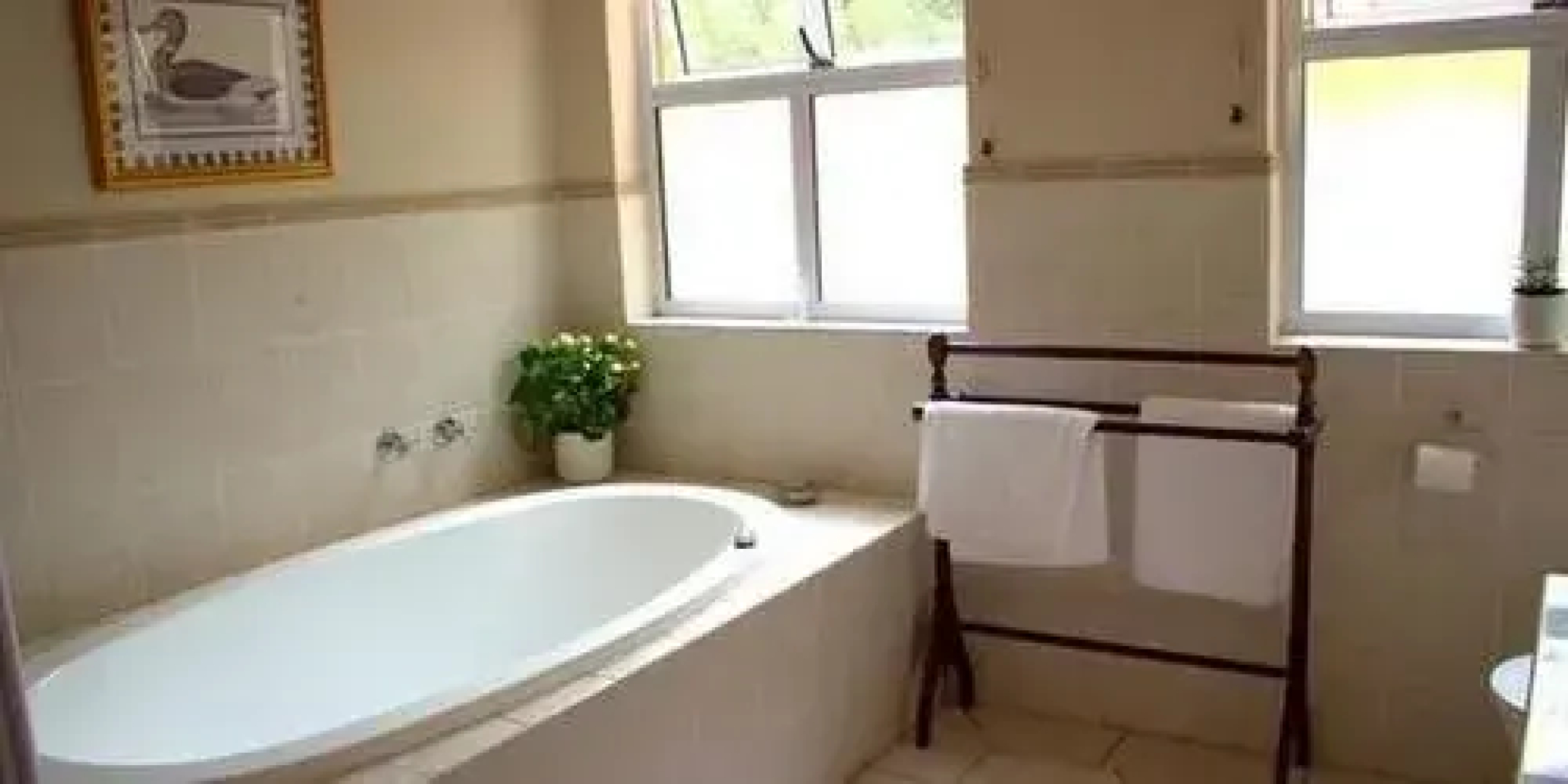 Wild Olive Executive Suite