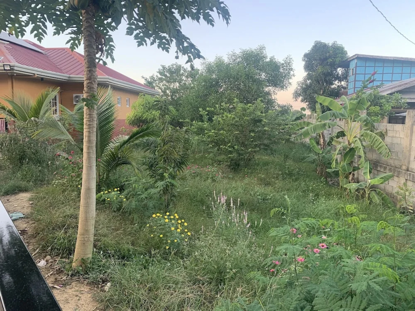 Scarlett Resorts at Laganas