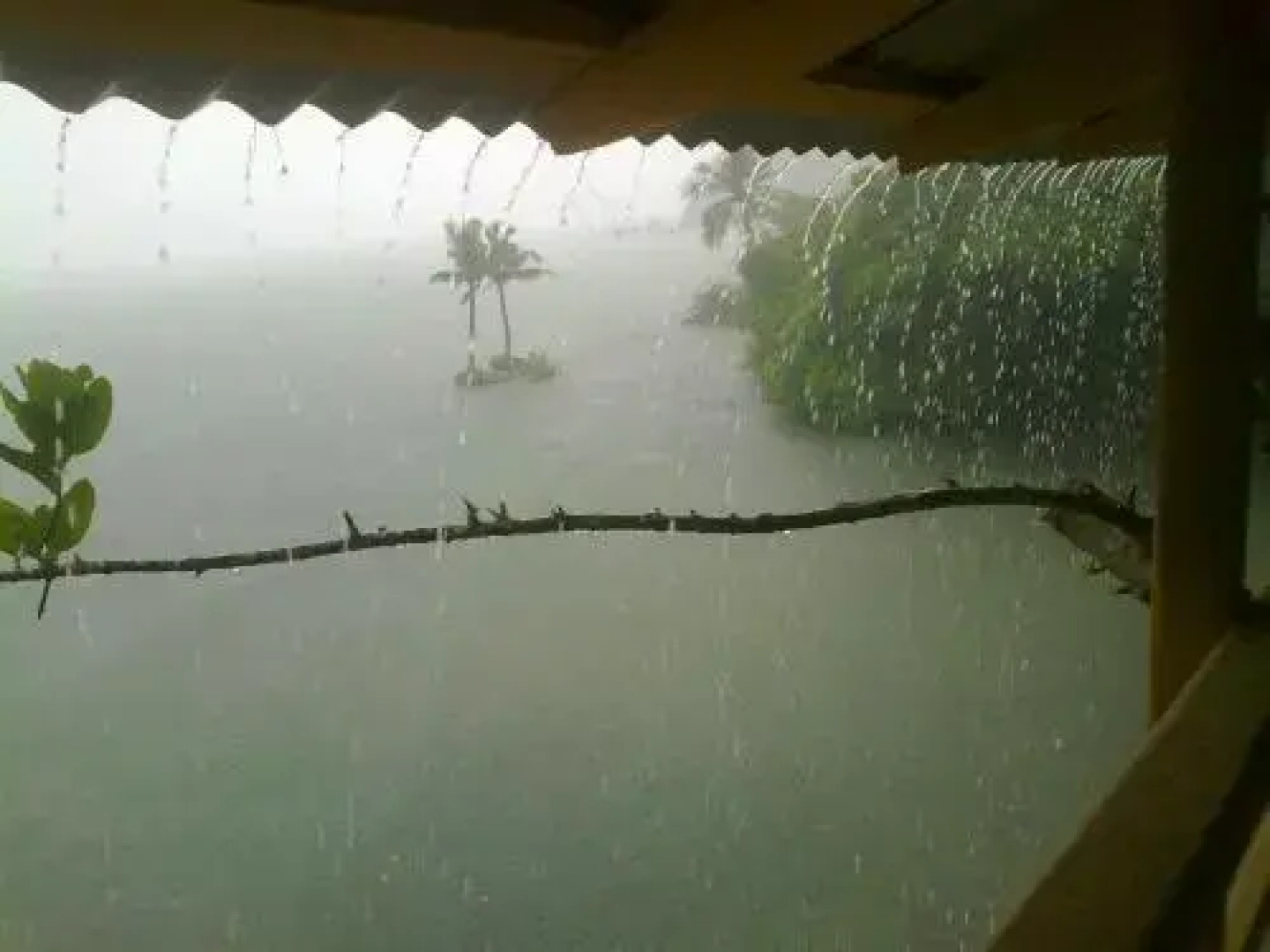 Roomys Nest Ashtamudi Homes