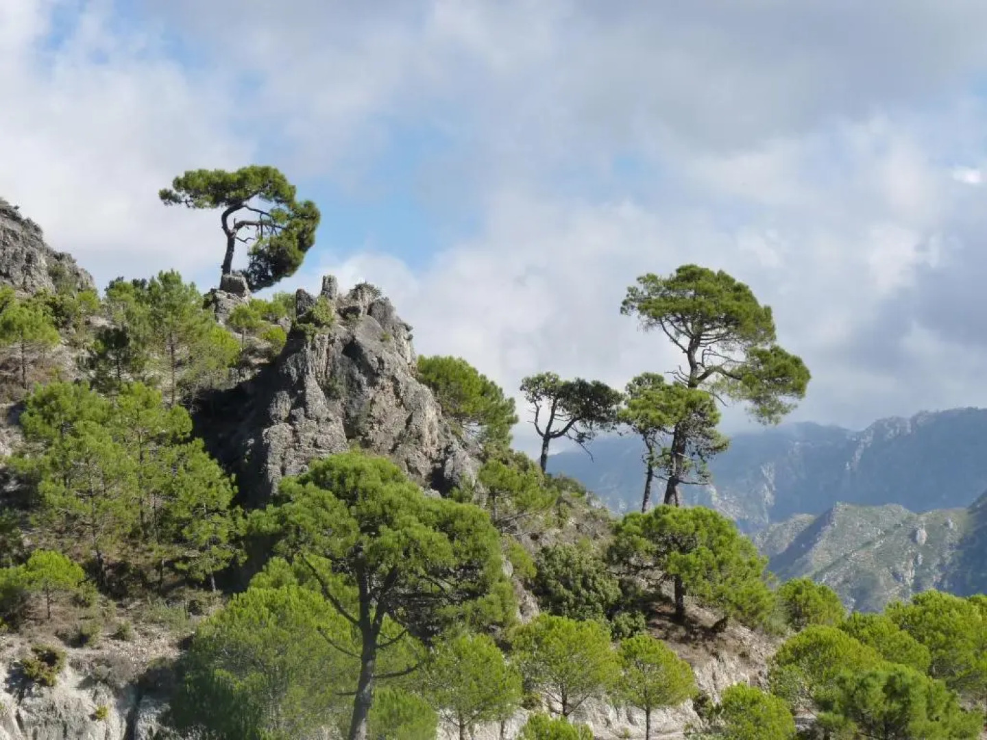 Bed and Breakfast La Madrugada