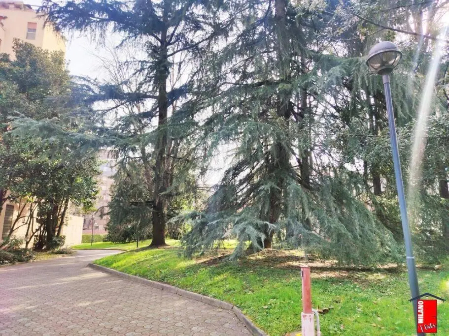 MilanoFlats - Cervi6