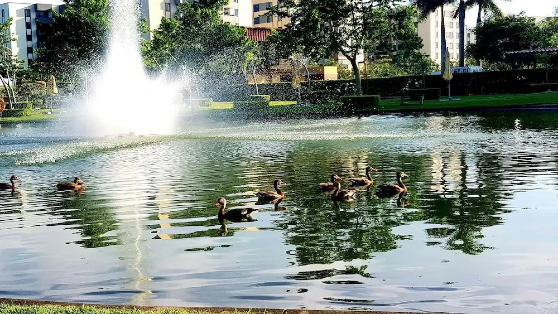 Perfectly located room near SJO Intl