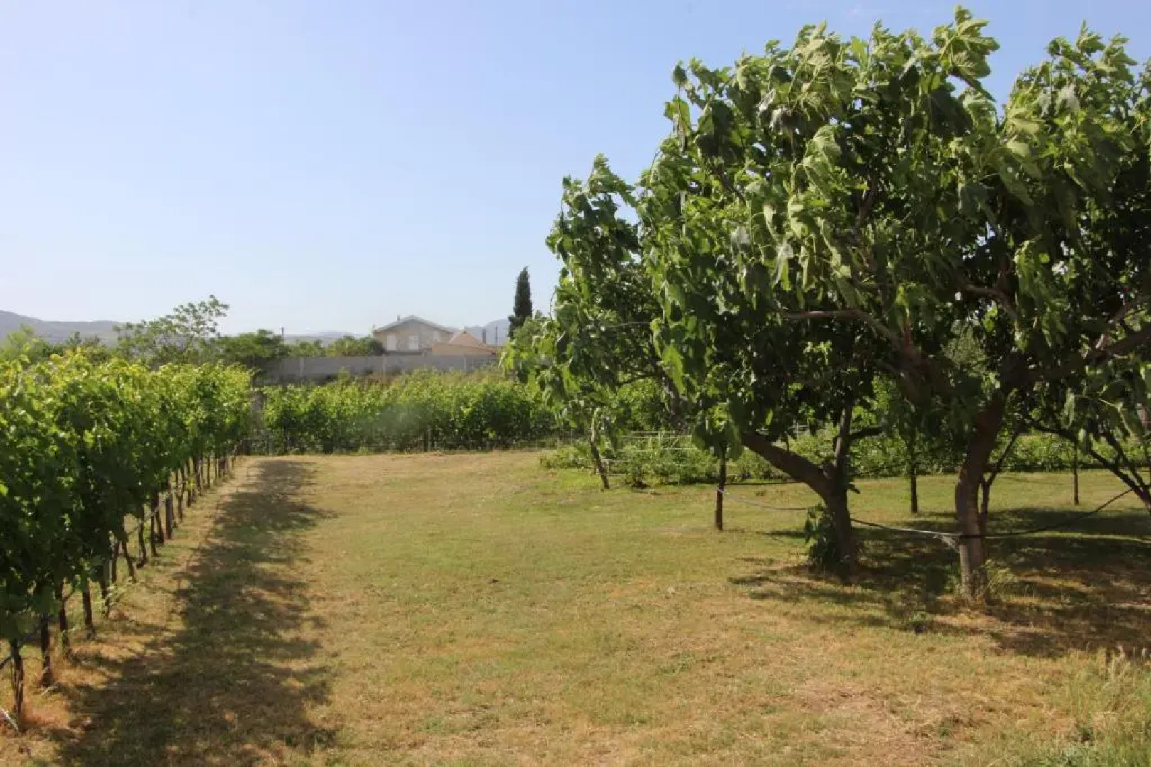 Apartman na rijeci Cijevni