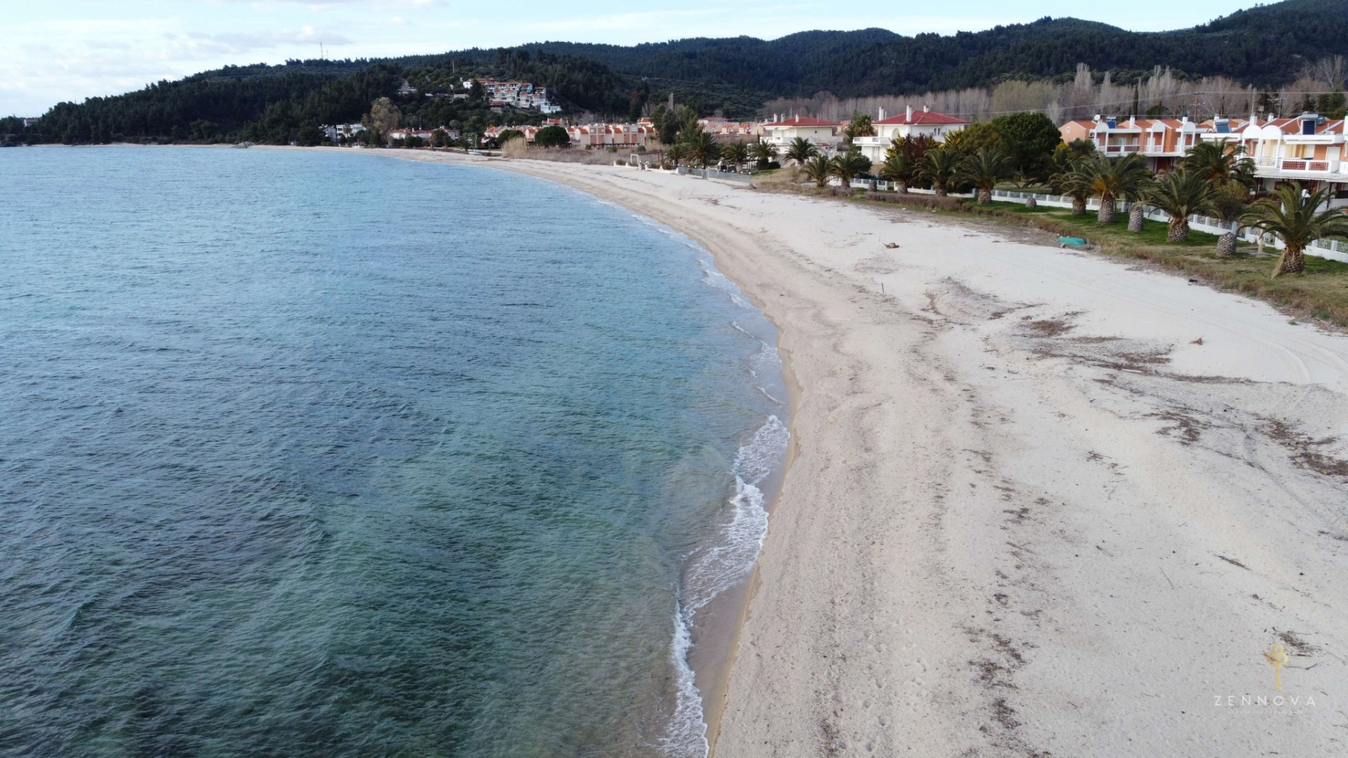 Zennova #25 Blue Pearl Tripotamos