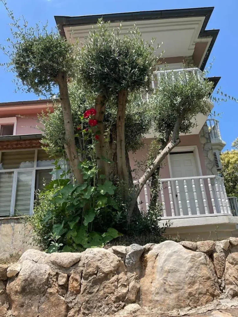 Cappadocia Hotel