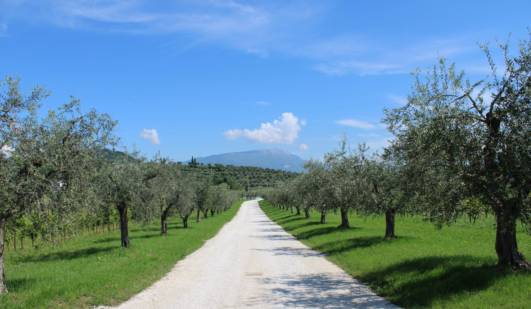 Borgo Romantico Green Relais