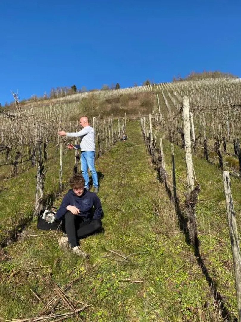Landgasthof Zur Sonne