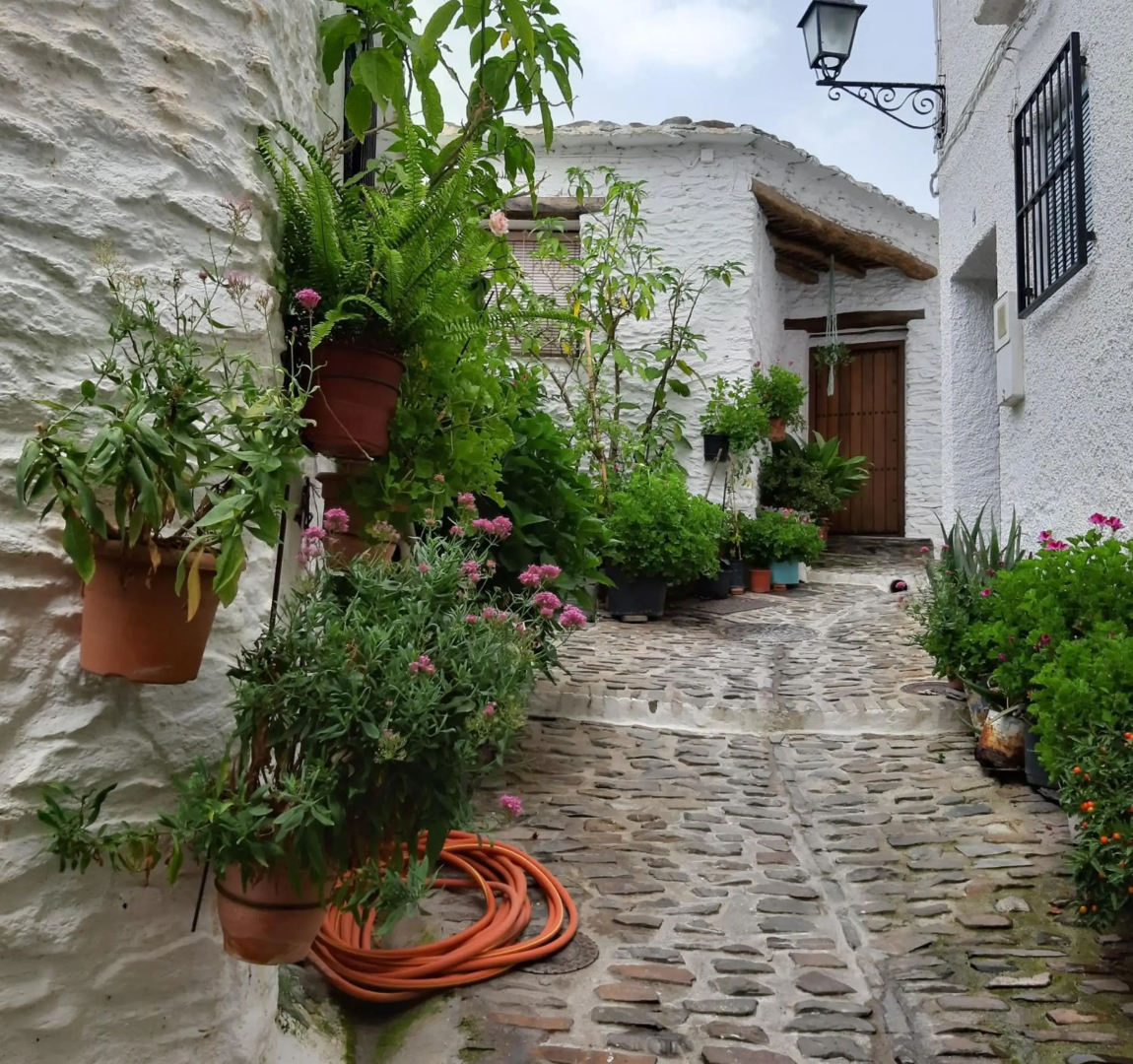 Casa Martina Pampaneira