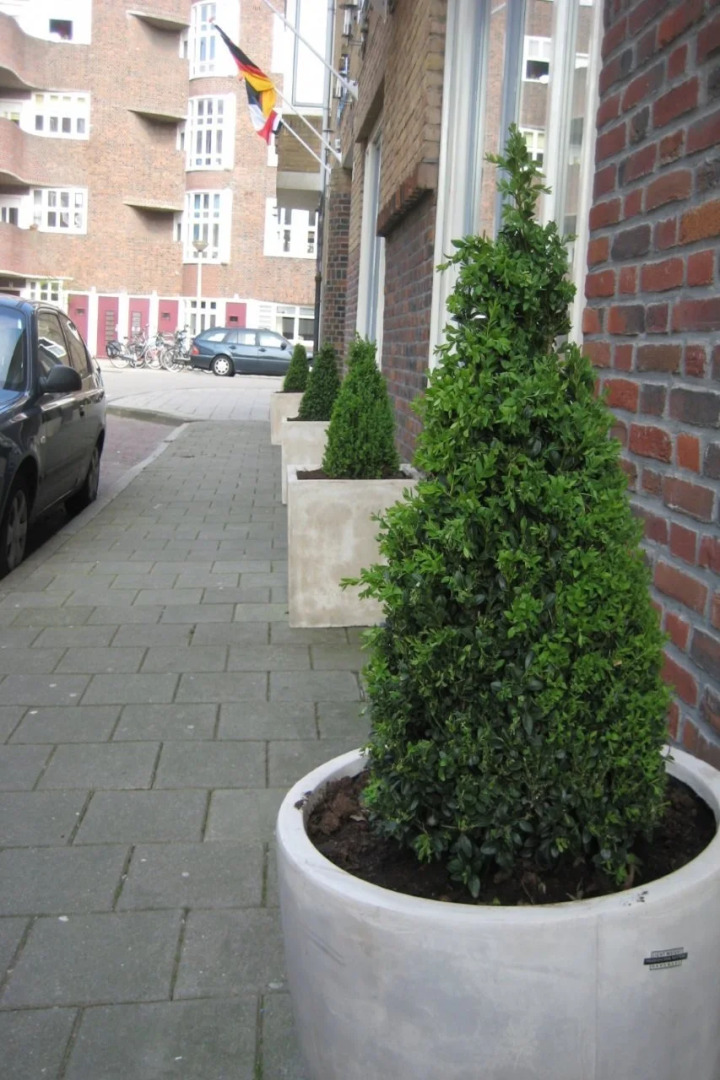 Flipper Hotel Amsterdam