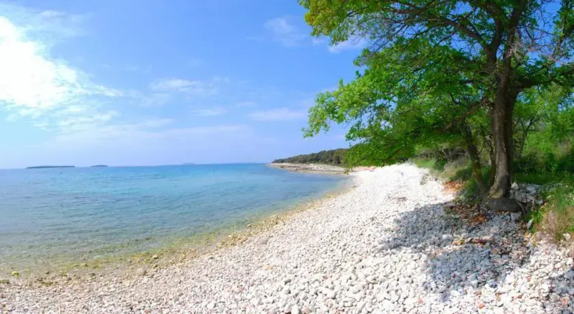 Villa Ecological Birds Heaven