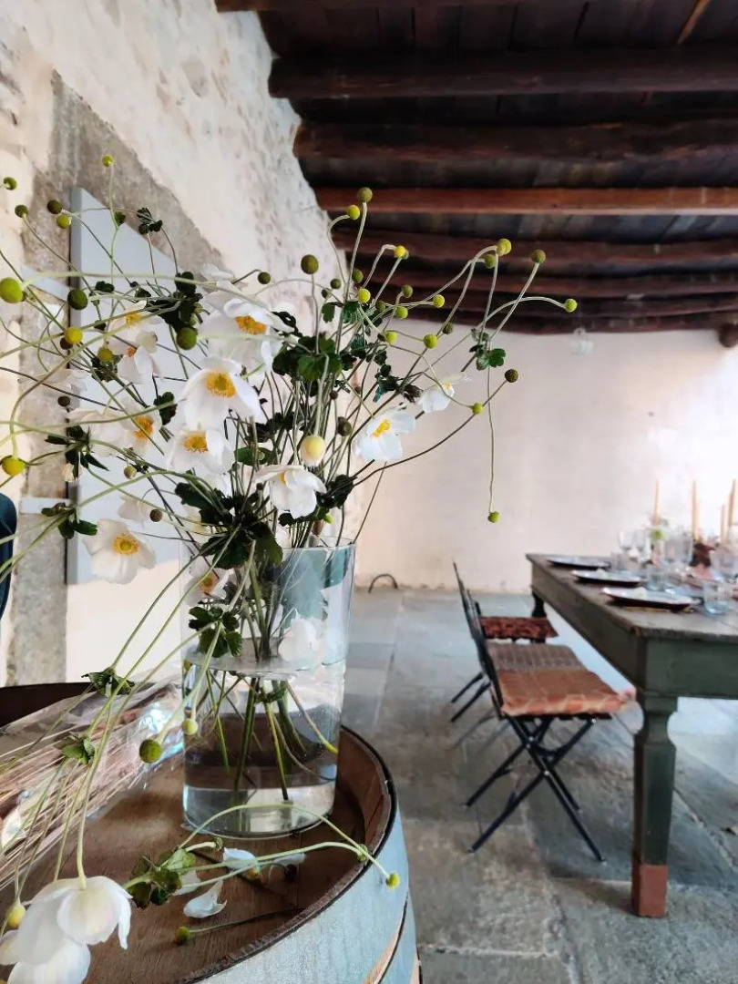 Dandelion Como Suites & Park