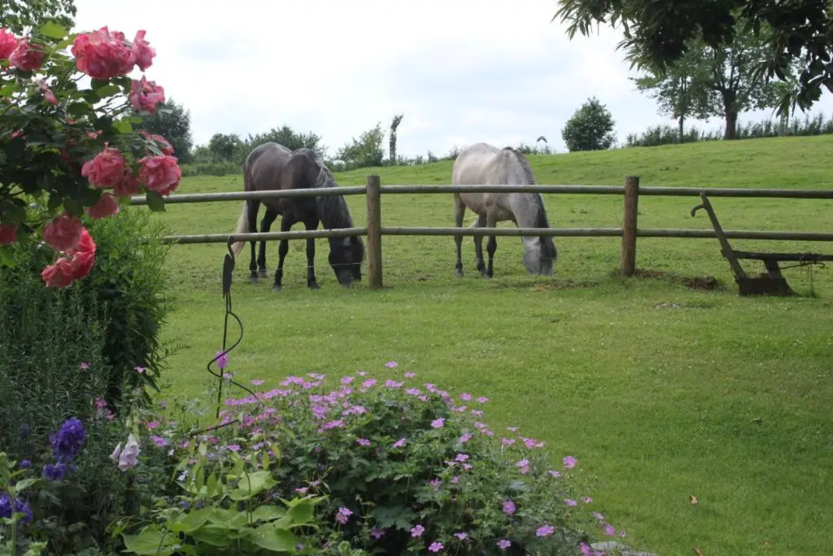 Countryhouse Zuid-Limburg