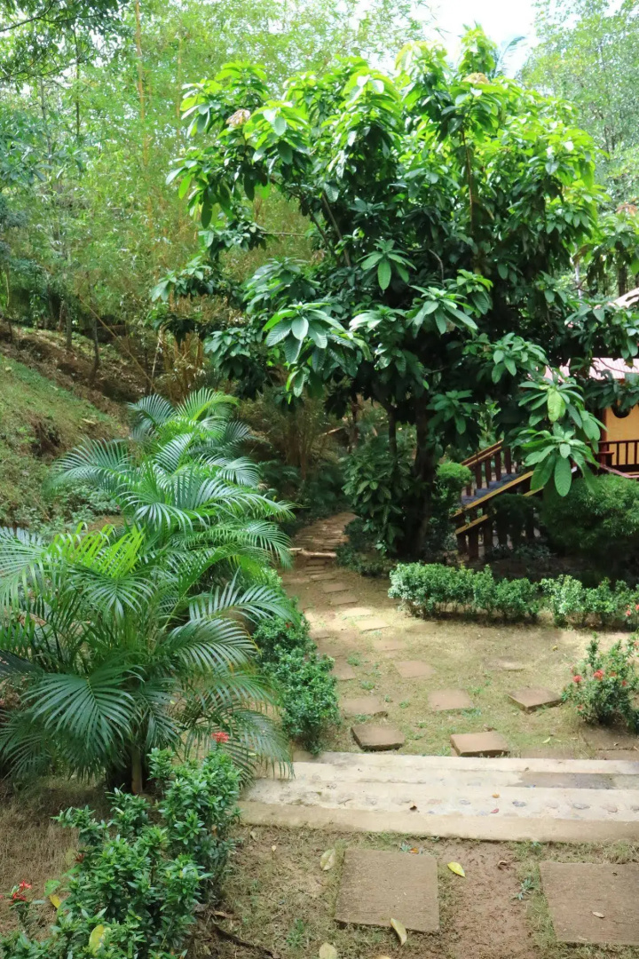 Villa Israel Eco Park El nido Palawan