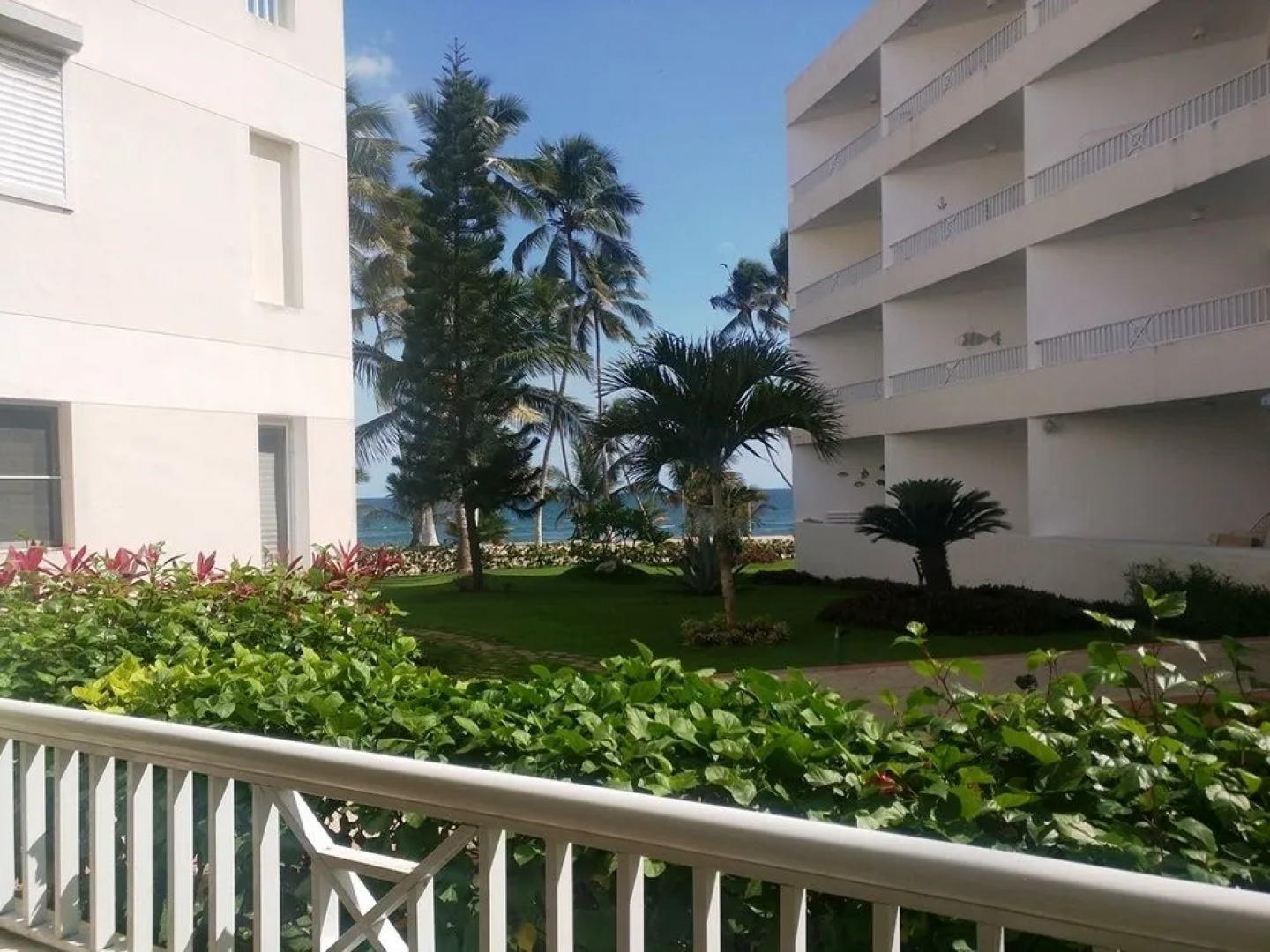 Albatros Club Resort