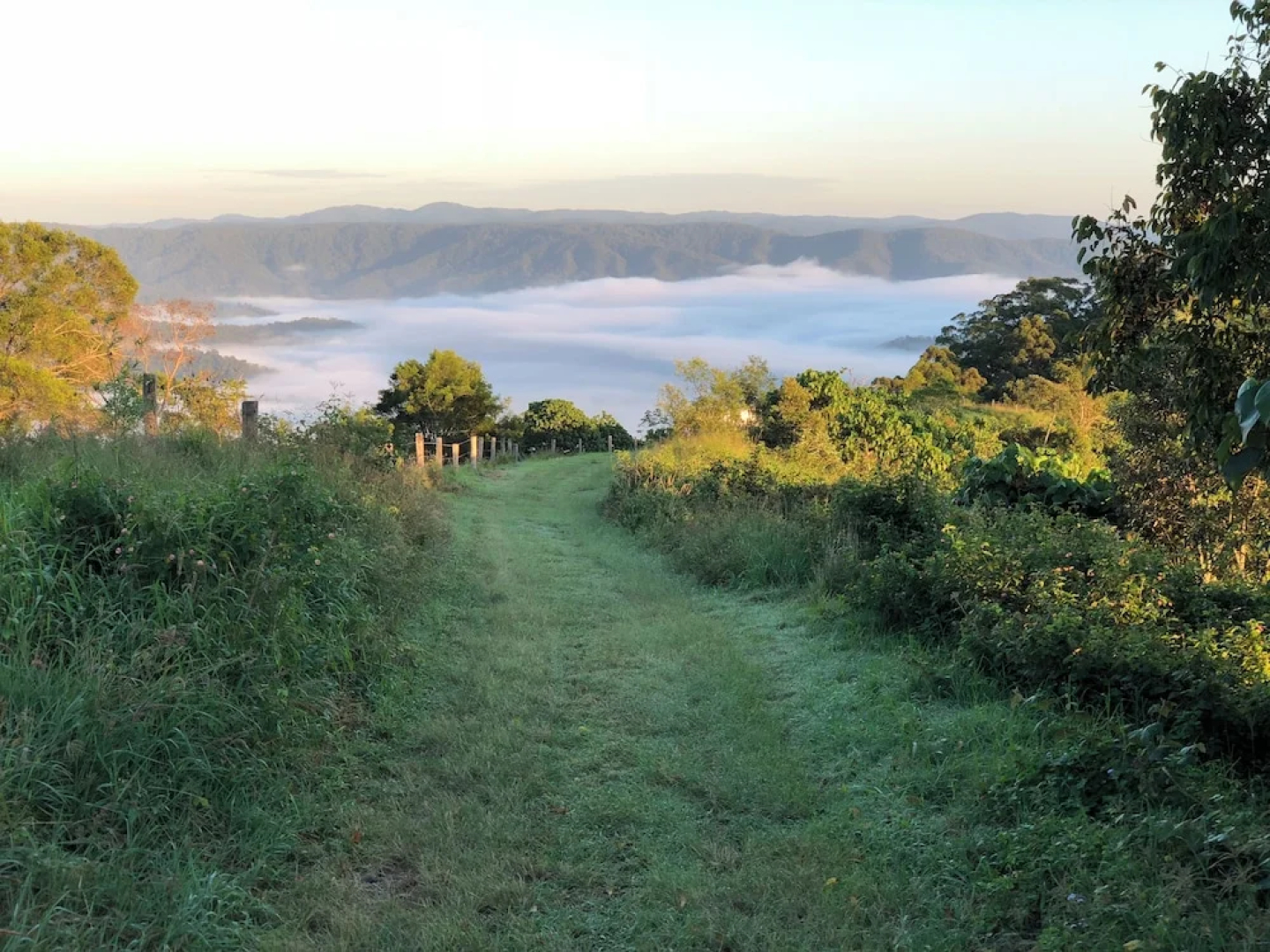 The Ridge at Maleny