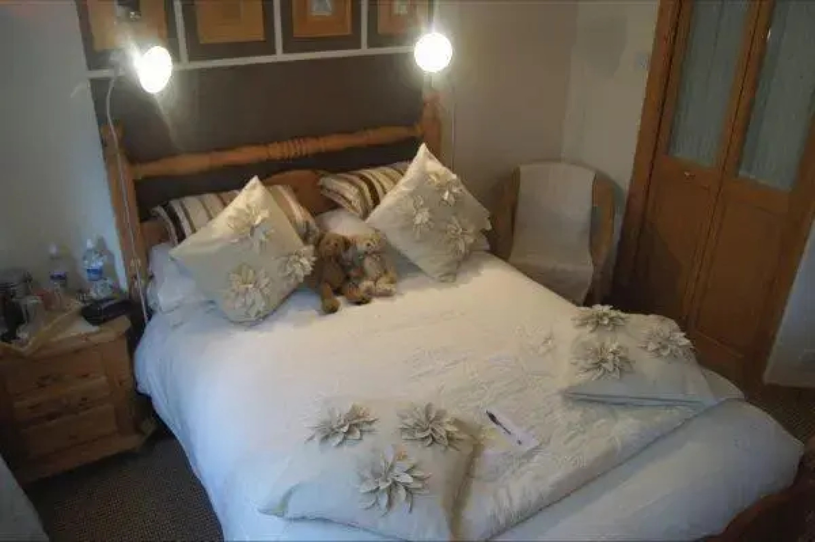 Birchgrove Bed and Breakfast