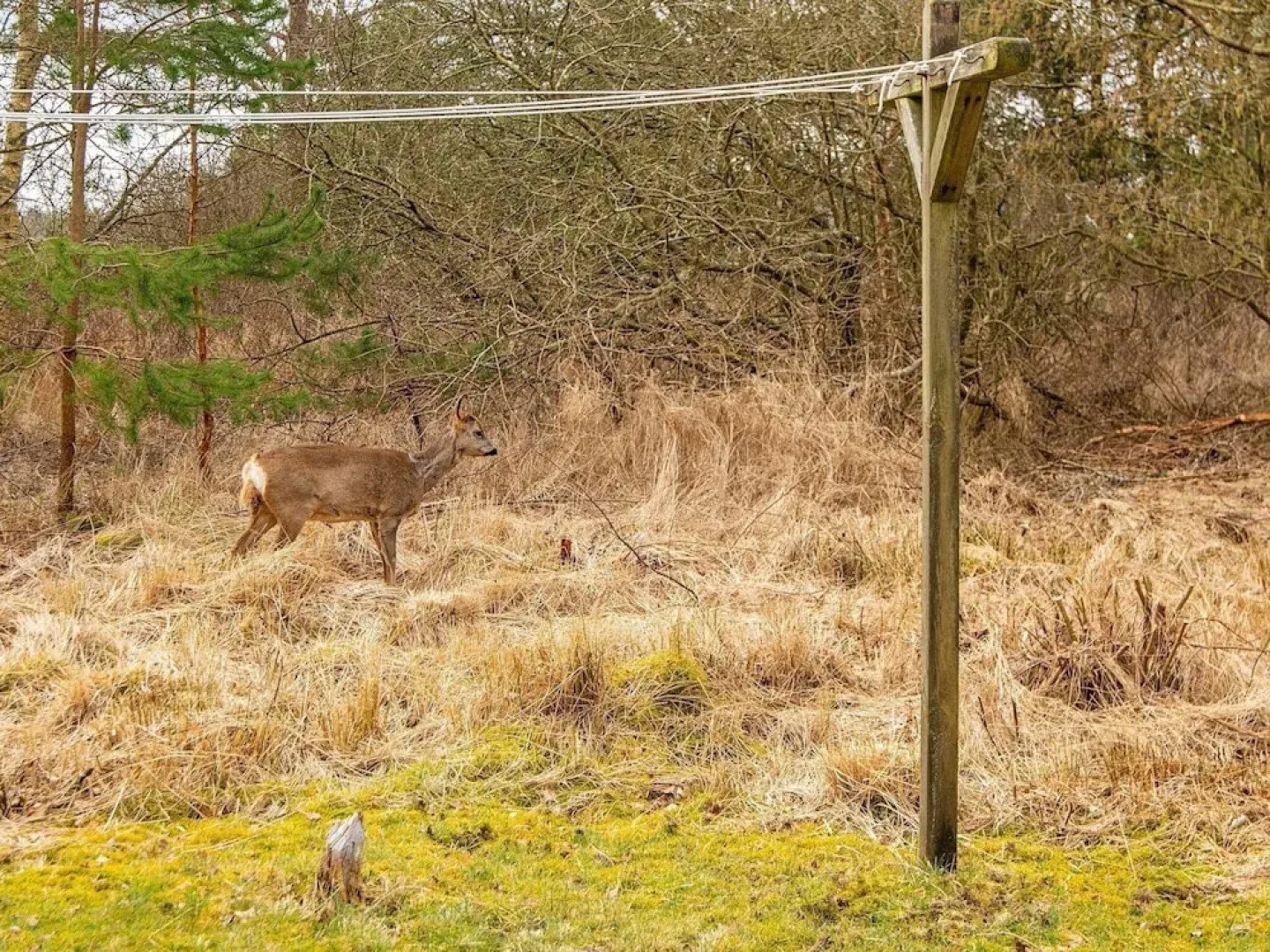 6 Person Holiday Home in Romo