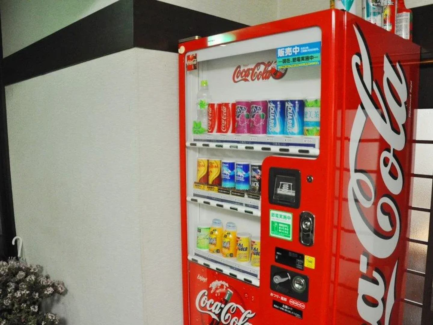 Oshuku Onsen Minshuku Akebonoso