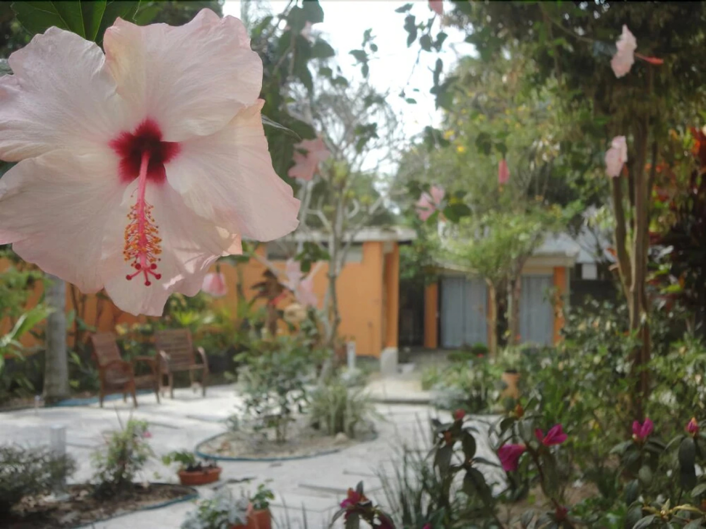 Bollté Praia Boutique Pousada - Campeche - SC