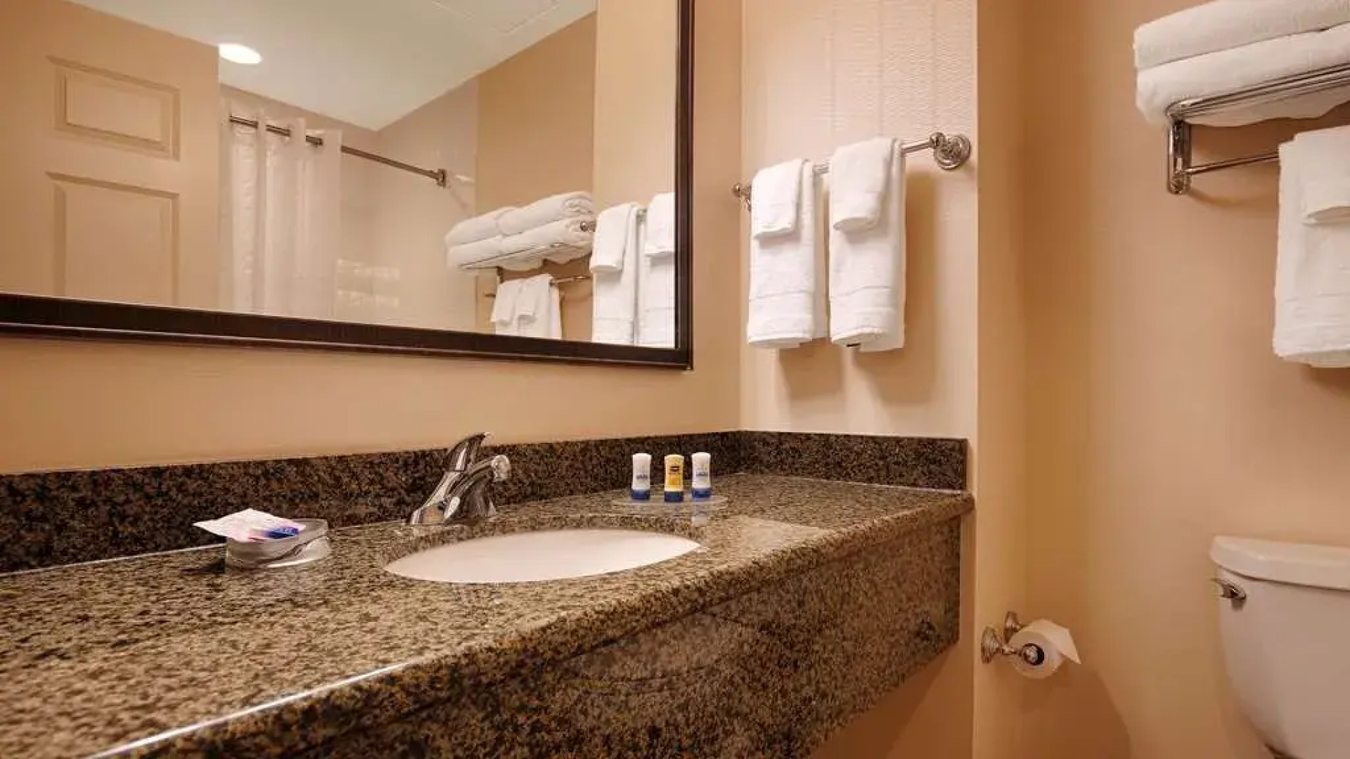 Best Western Plus The Inn at King of Prussia