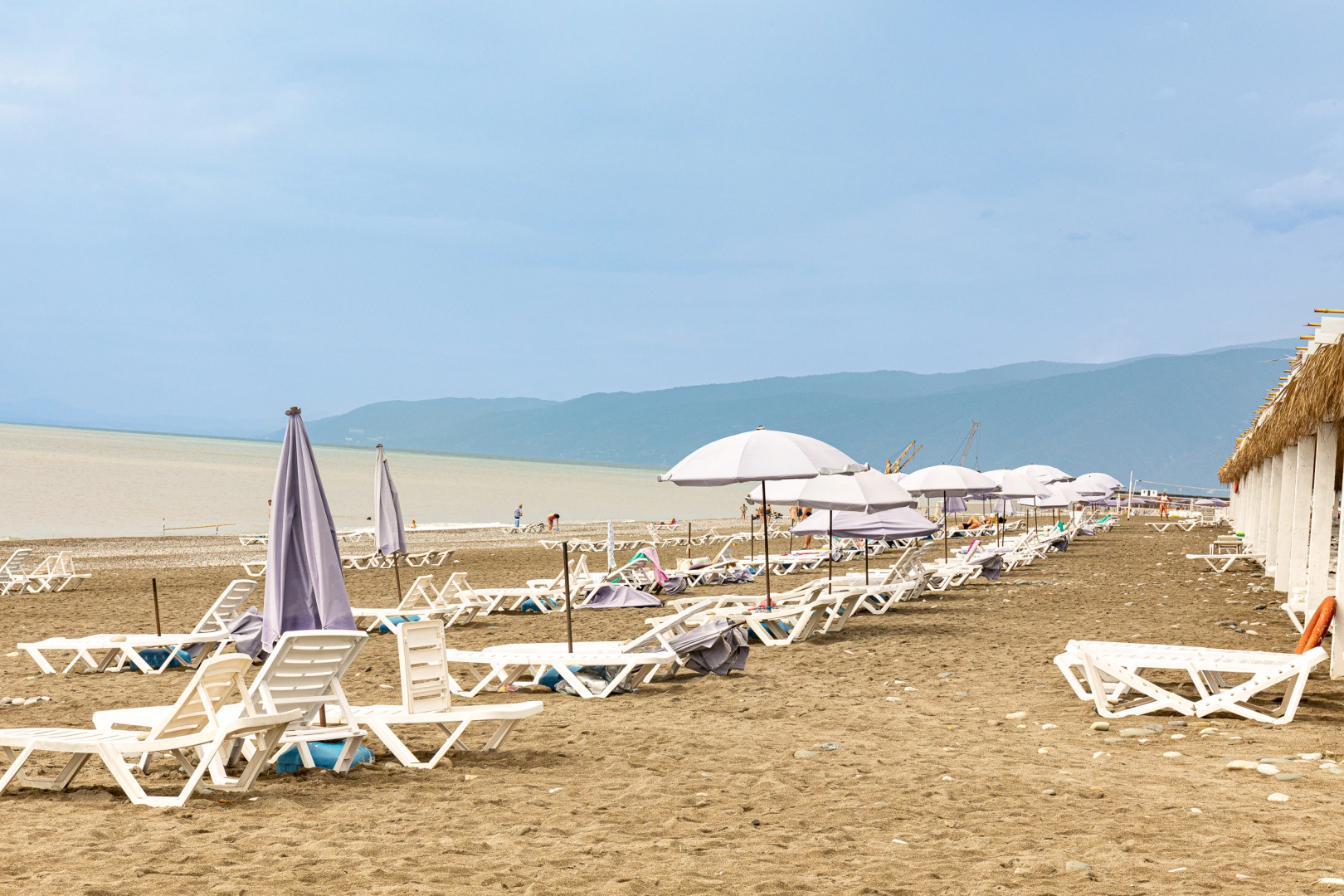 Сосновая роща (Пицунда)