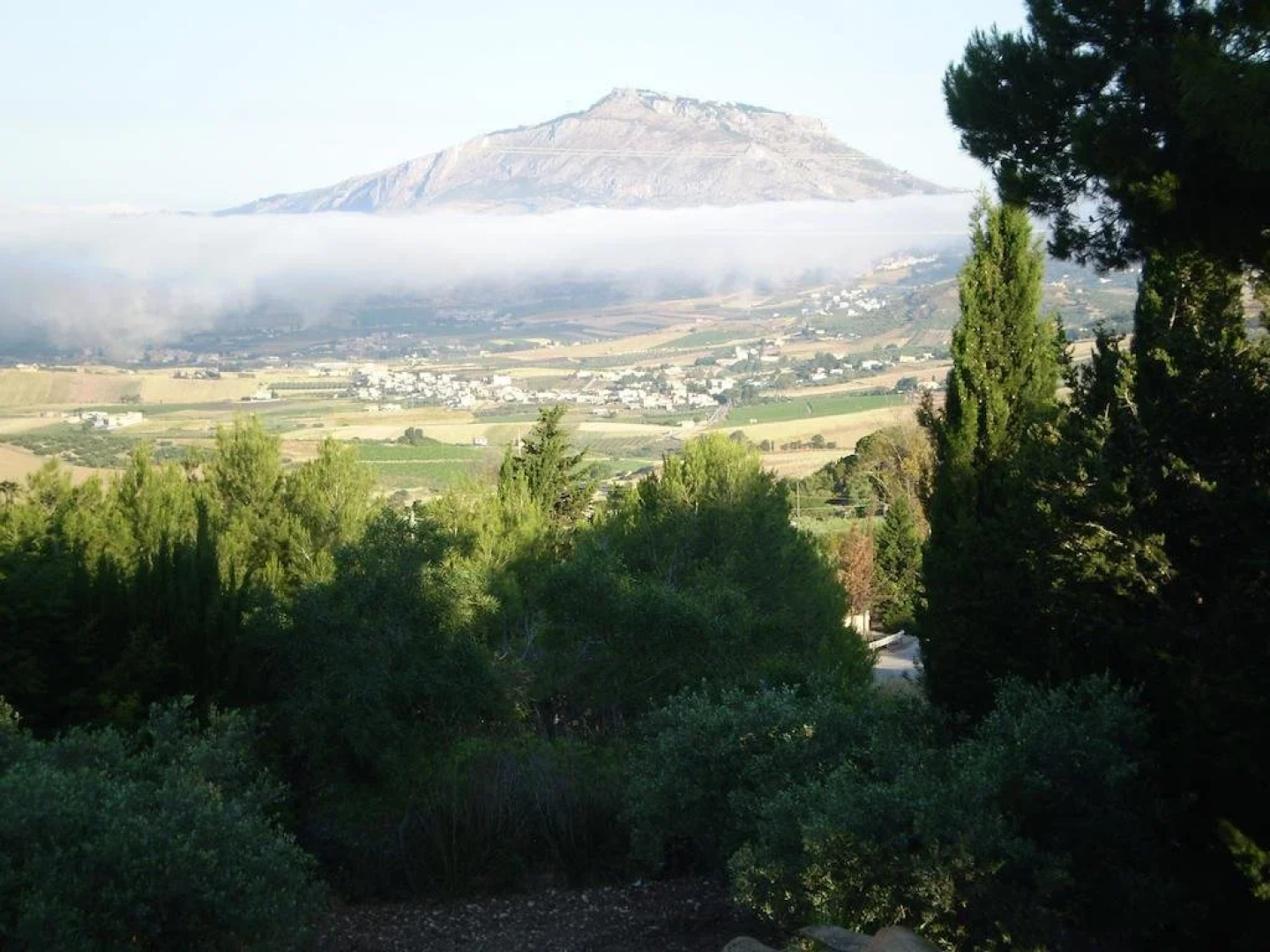 Acqua di Menta Bed and Breakfast