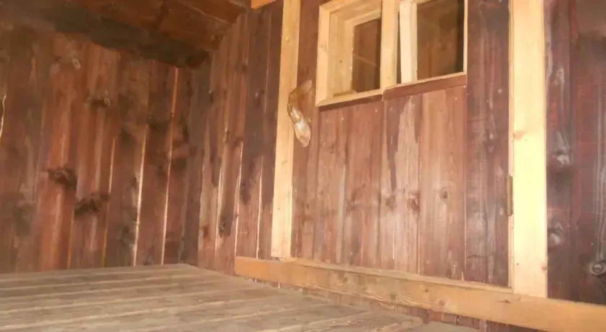 Mustjõe Tourism farm