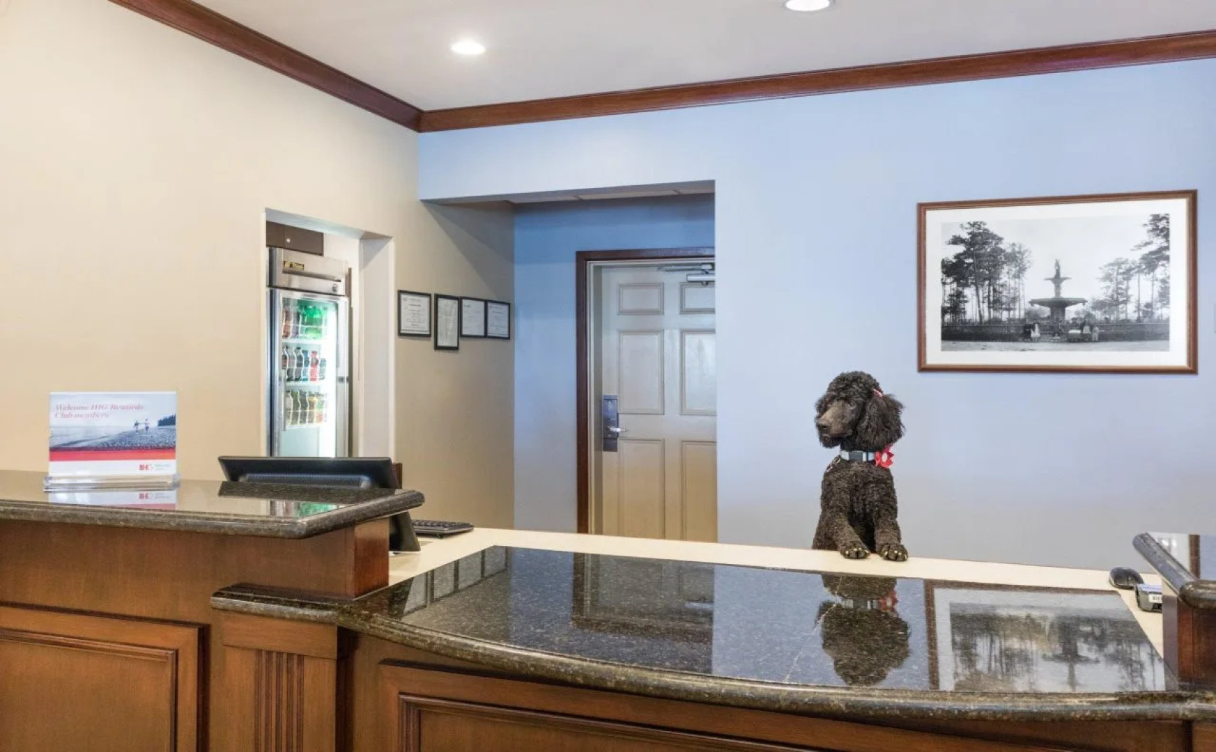 Staybridge Suites Savannah Historic District by IHG