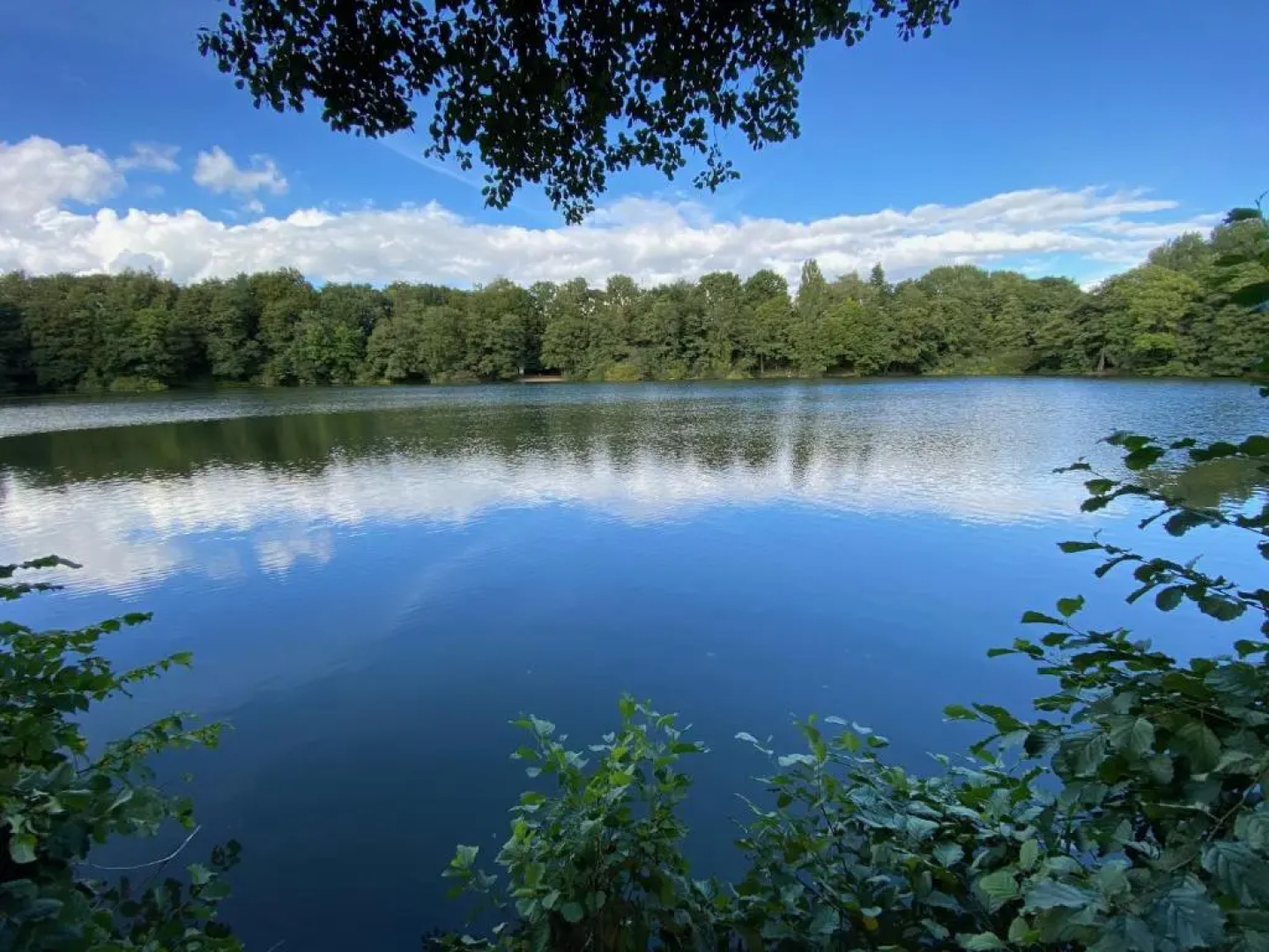 Ferienwohnung Arp 2O mit Garten und Parkplatz