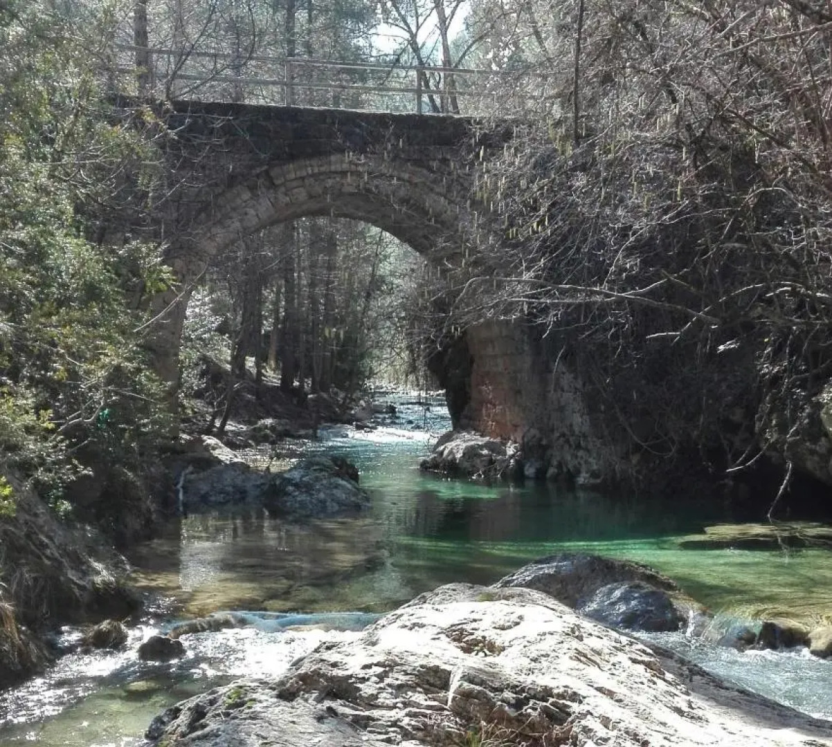 Apartamento Las Tortugas