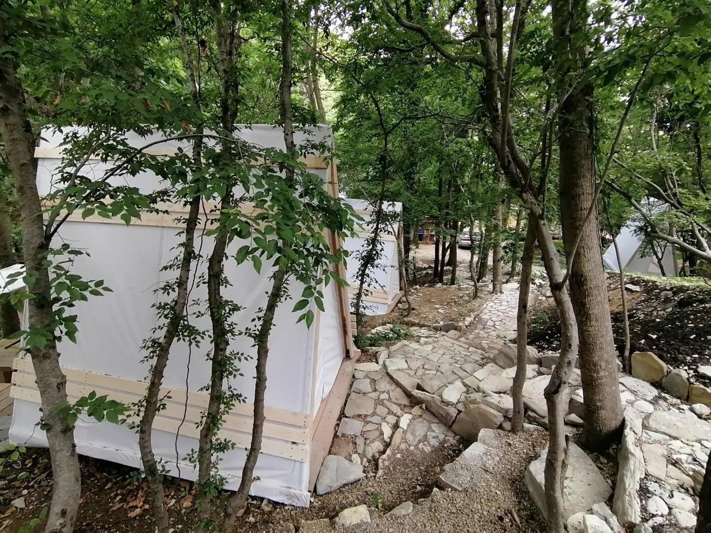 Дикий (бывш. Дикое место)